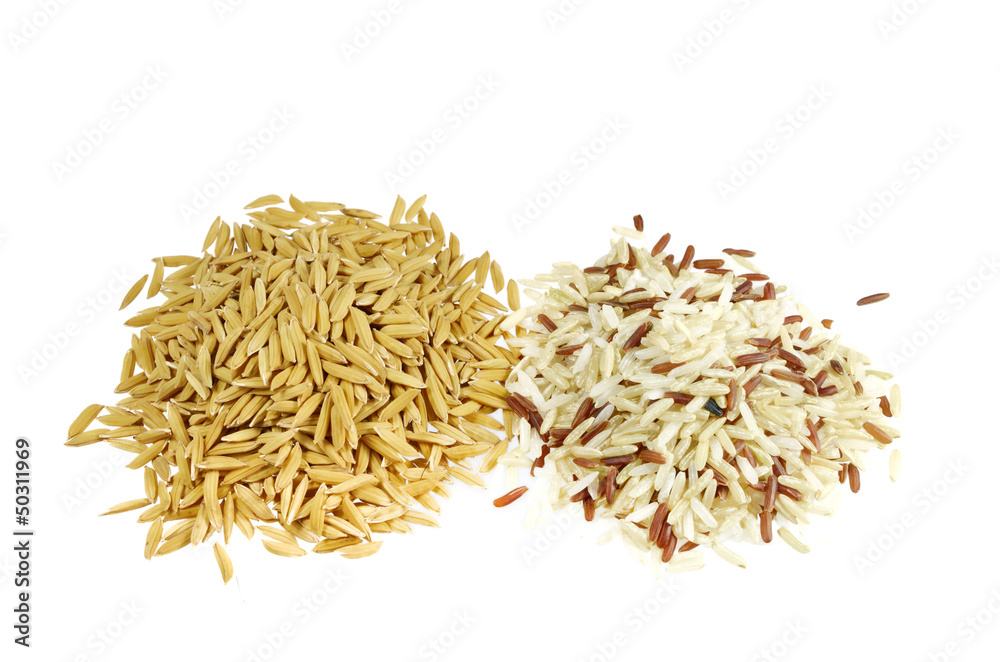 paddy and mix brown rice isolated on white. paddy and mix brown rice isolated on white.