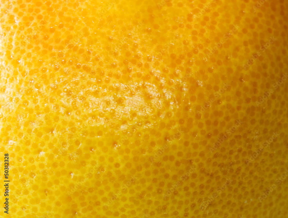 Grapefruit Detail Grapefruit Detail