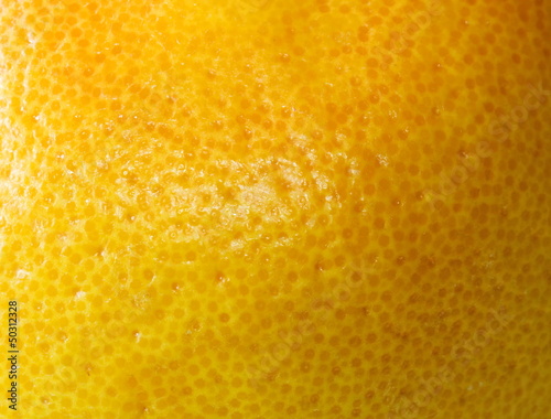 Grapefruit Detail