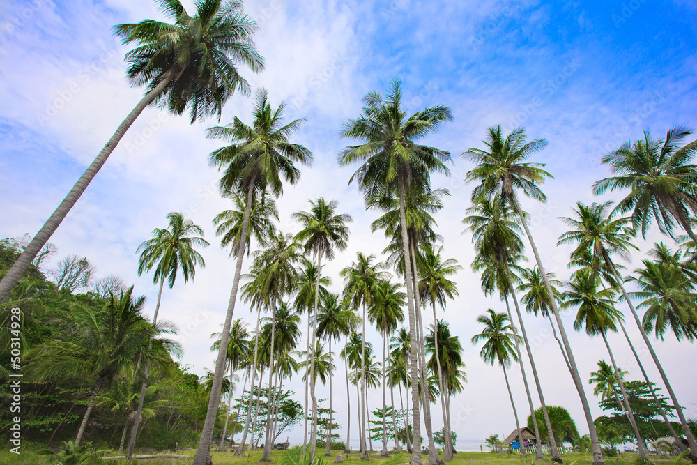 Obraz premium Bungalow on the beach under palm trees