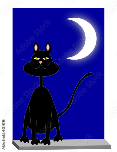 micio sulla finestra al chiaro di luna