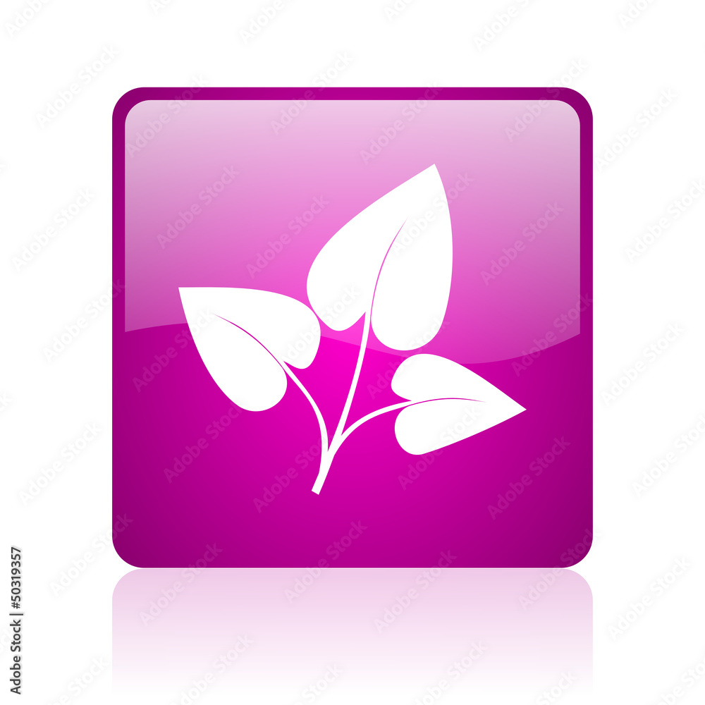 eco violet square web glossy icon eco violet square web glossy icon