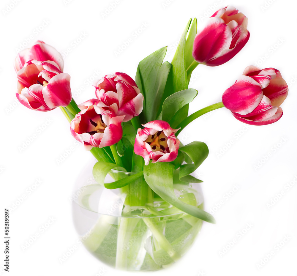 Fototapeta premium Bouquet of pink tulips in a vase