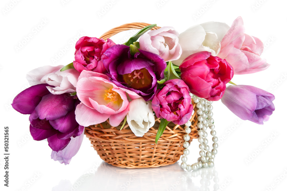 Basket with colorful bouquets of spring tulips flowers isolated Basket with colorful bouquets of spring tulips flowers isolated
