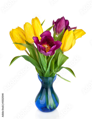 Fototapeta Naklejka Na Ścianę i Meble -  Tulips Flowers in blue vase isolated on white