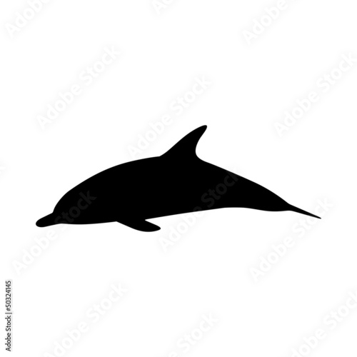 Dolphin Silhouette