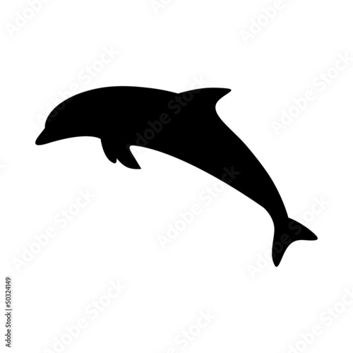 Dolphin Silhouette