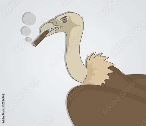 Smoke vulture