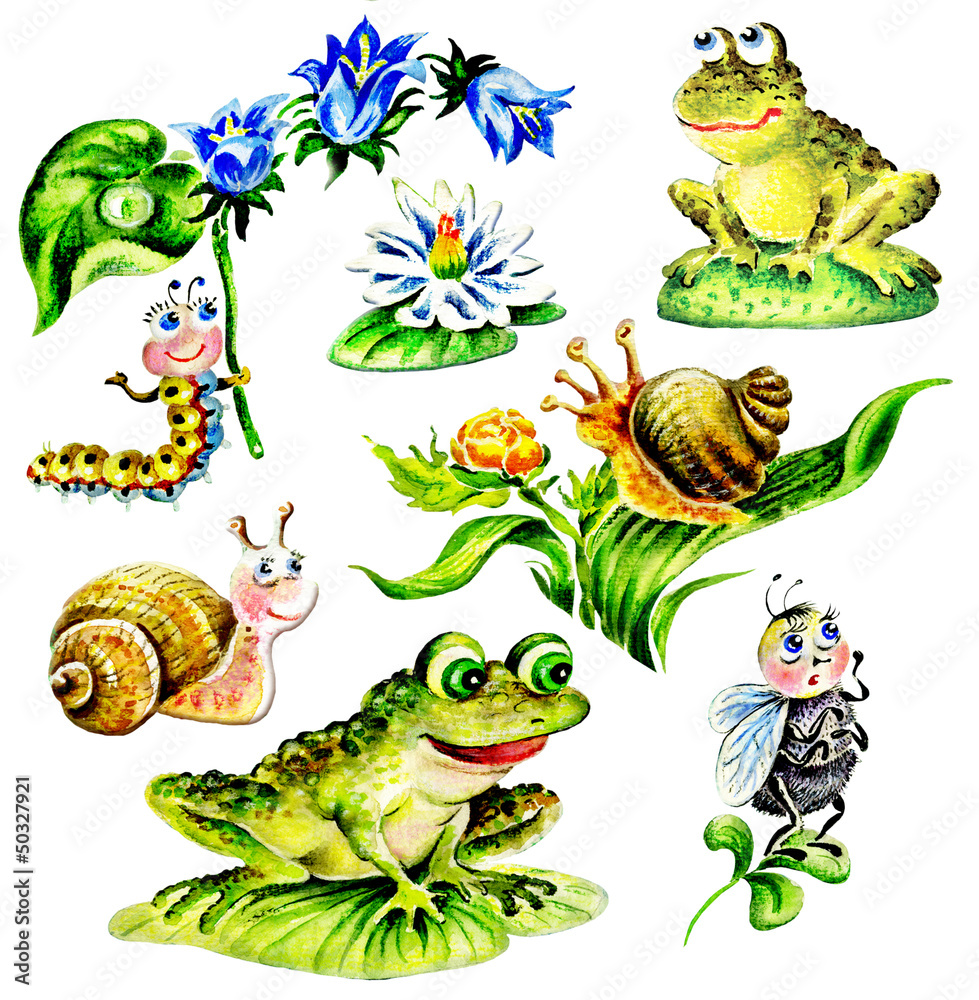Naklejka premium Snails, frogs, Caterpillar with flower, fly, water lily