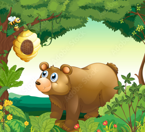 A big brown bear staring at the beehive