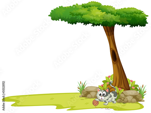 A gray cat playing with a string ball under a tree