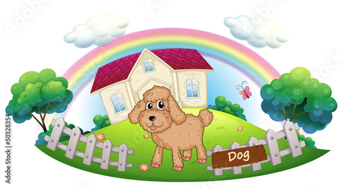 A brown puppy in front of a house