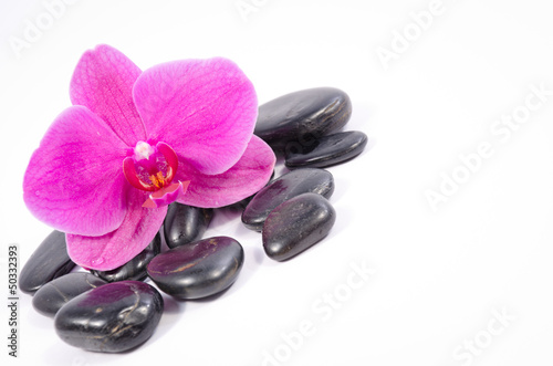 Pink orchid and black zen stone