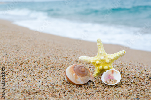 starfish and seashell on the beach © eternalfeelings