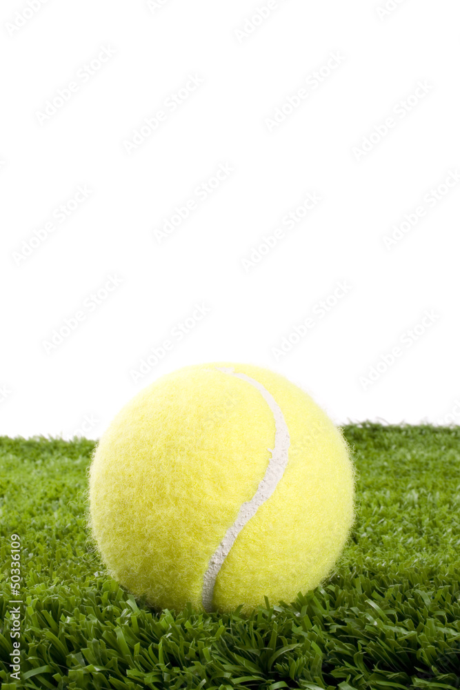 Tennis ball on grass