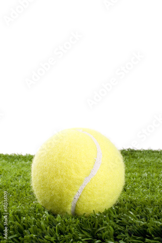 Tennis ball on grass © lucato