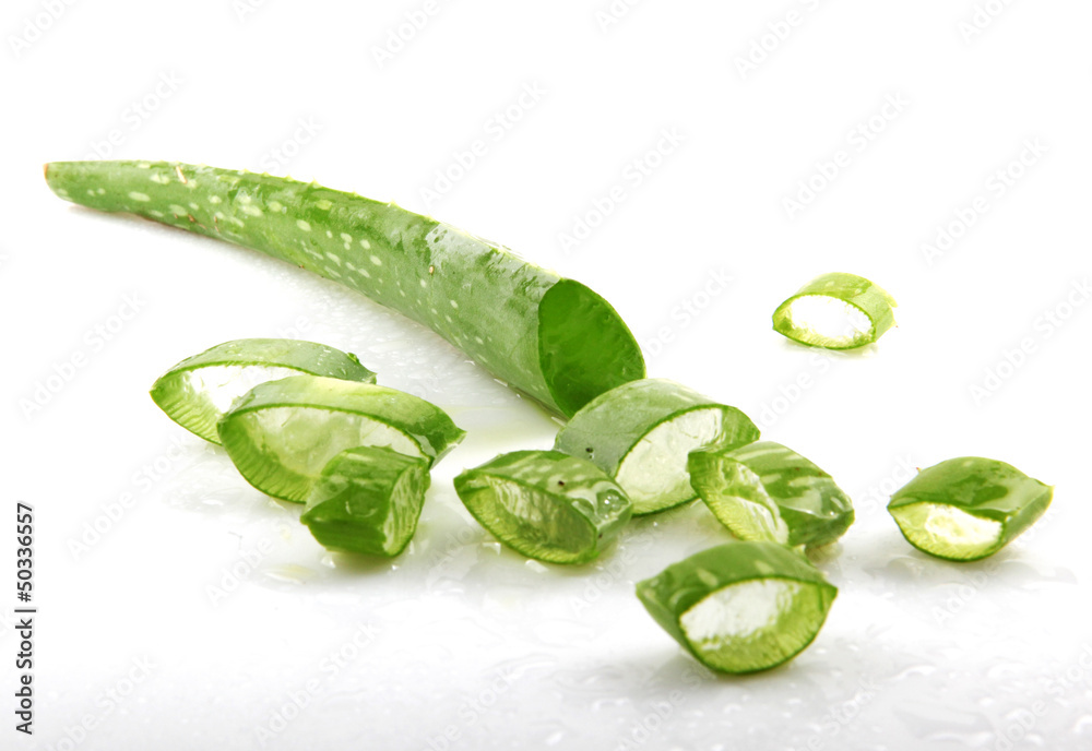 Obraz premium Aloe