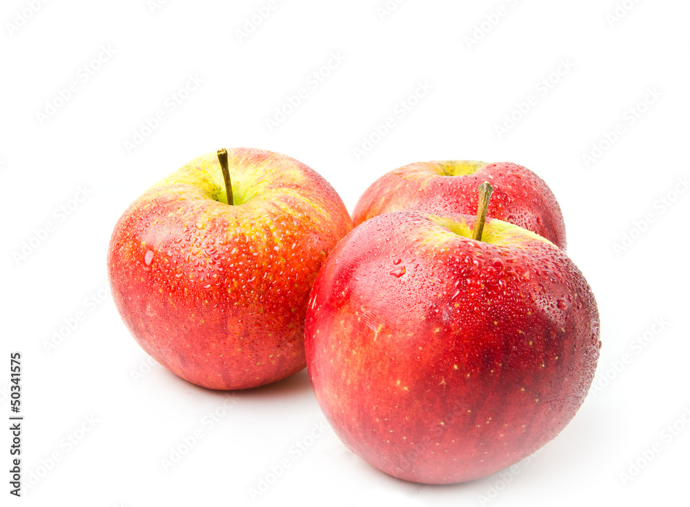 red apple isolated on the white red apple isolated on the white