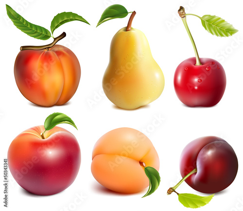Collection of vector fruits.