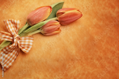 Fototapeta Naklejka Na Ścianę i Meble -  orange easter tulips