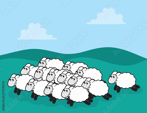 Flock of sheep in a grassy field