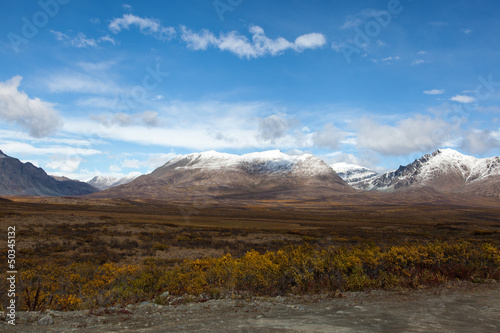 Tundra in Fall