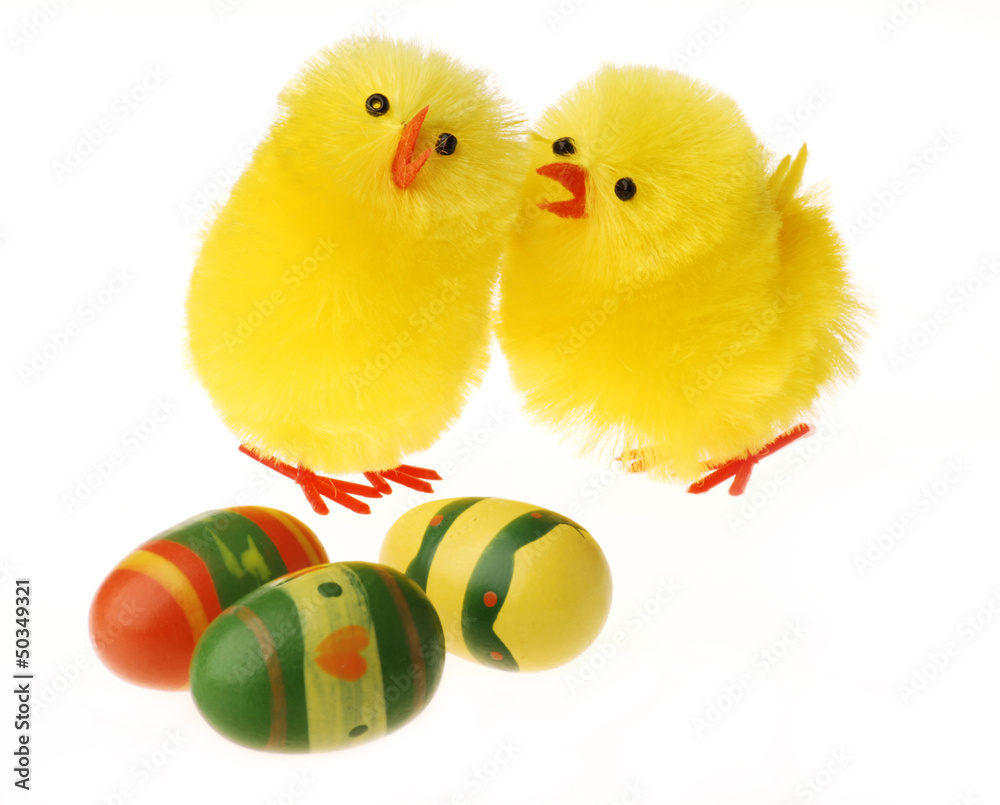 Two Easter Chicken communicating
