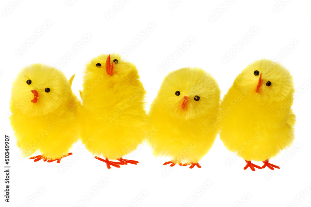 Row Of Easter Chicken