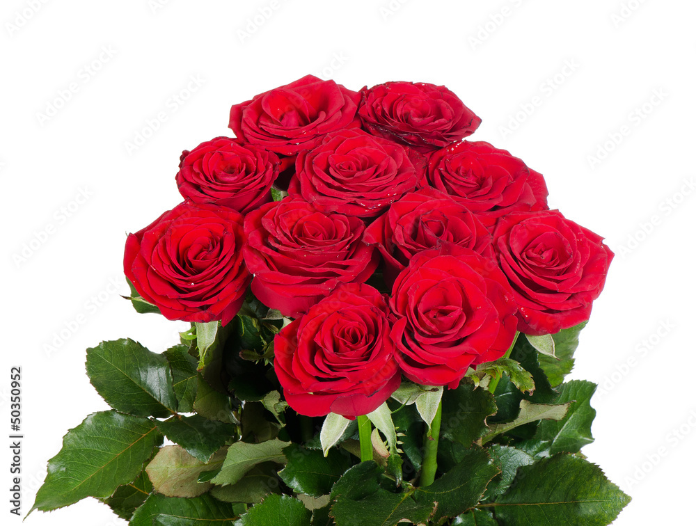Bouquet of red roses isolated on white background Bouquet of red roses isolated on white background