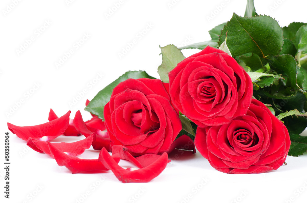 Fototapeta premium Bouquet of red roses isolated on white background