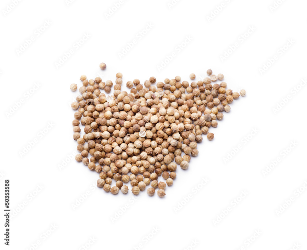 coriander coriander