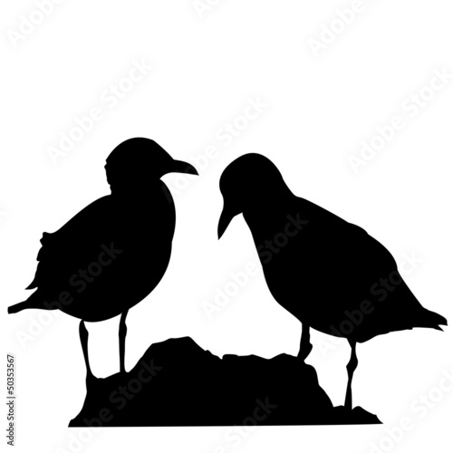 Möwen Silhouette Vektor