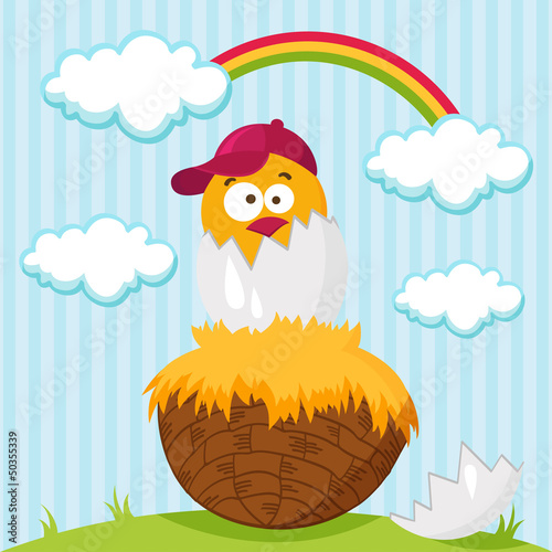 chicken hatched