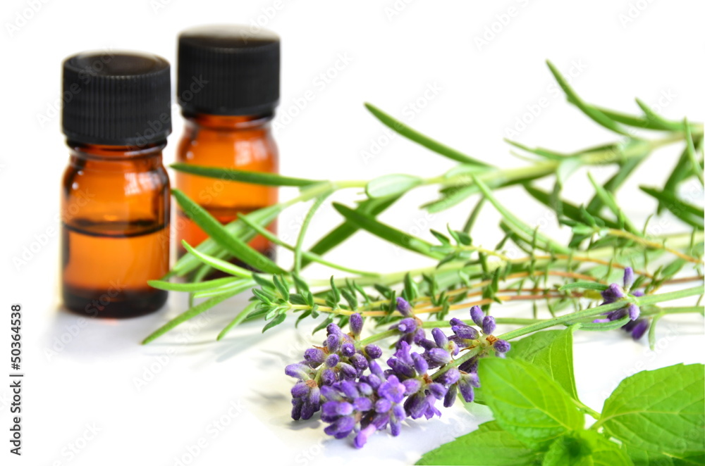 herbs and essential oils herbs and essential oils