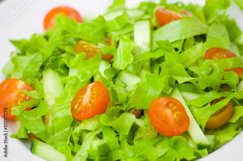 fresh vegetable salad with lettuce, tomato and cucumber