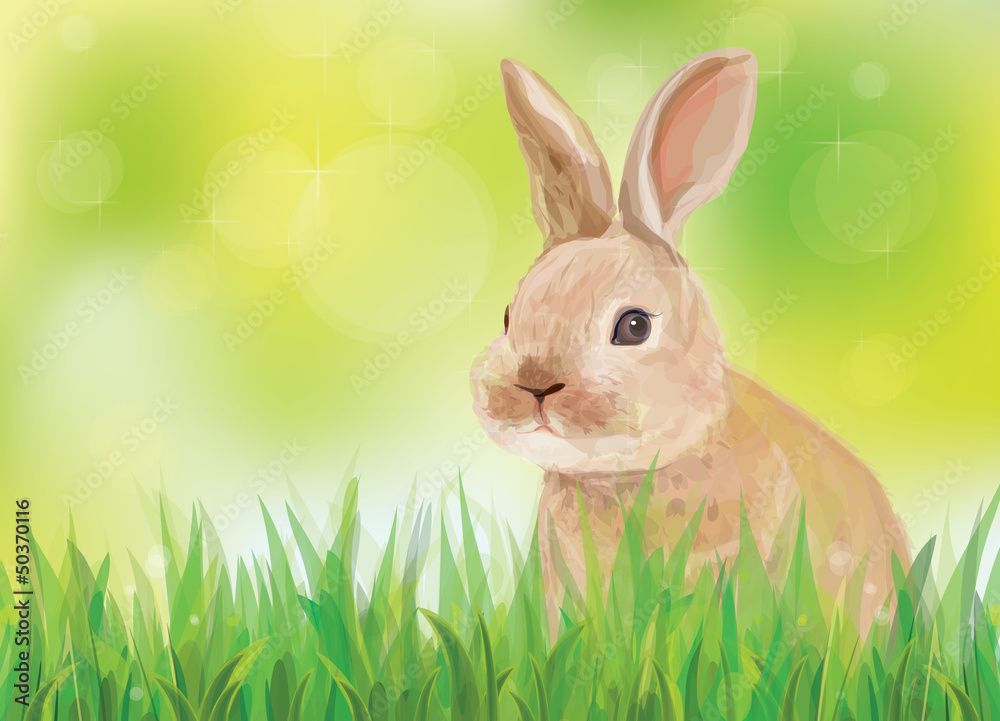 Vector of spring background with rabbit in green grass. Vector of spring background with rabbit in green grass.