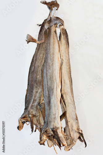 stockfish
