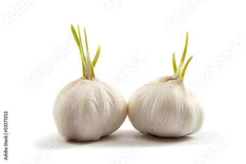 Two bulbs of garlic isolated on a white background.
