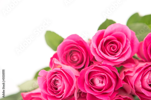 Close up of a beautiful bouquet of pink roses on a white backgro