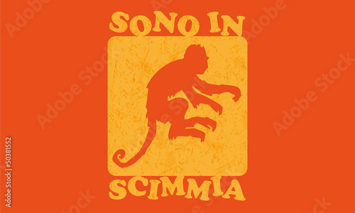Sono in scimmia