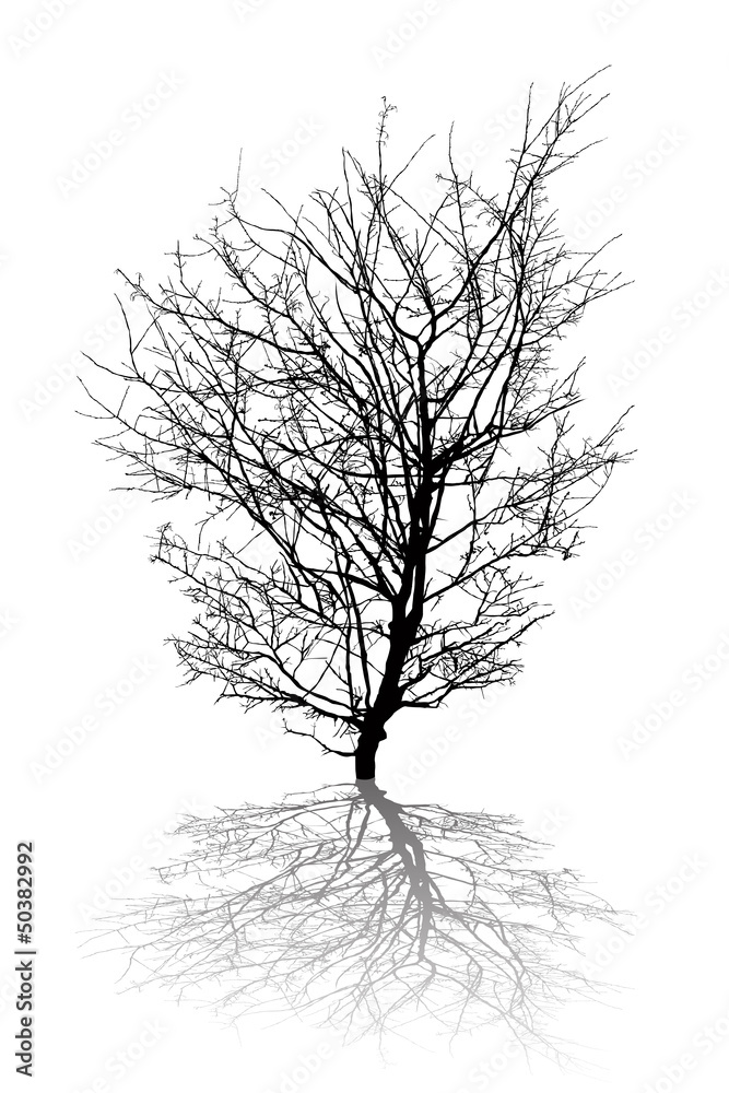 Obraz premium Abstract tree