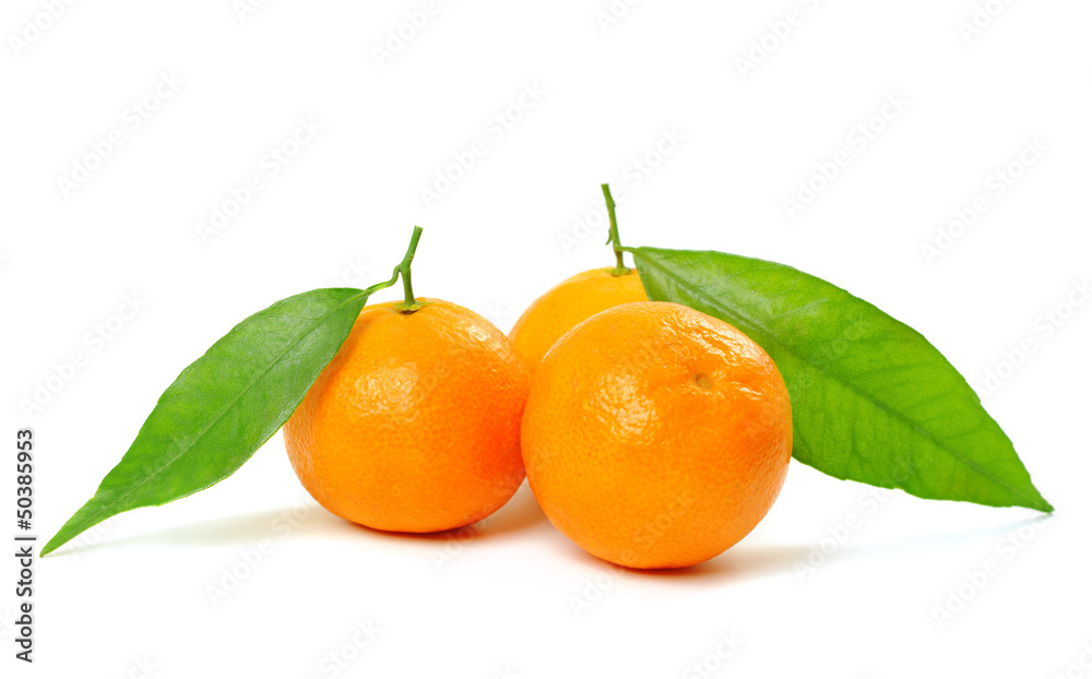 Tangerine isolated Tangerine isolated