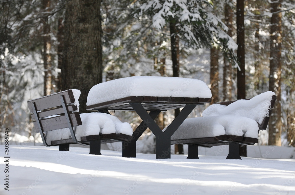 custom made wallpaper toronto digitalin attesa della primavera