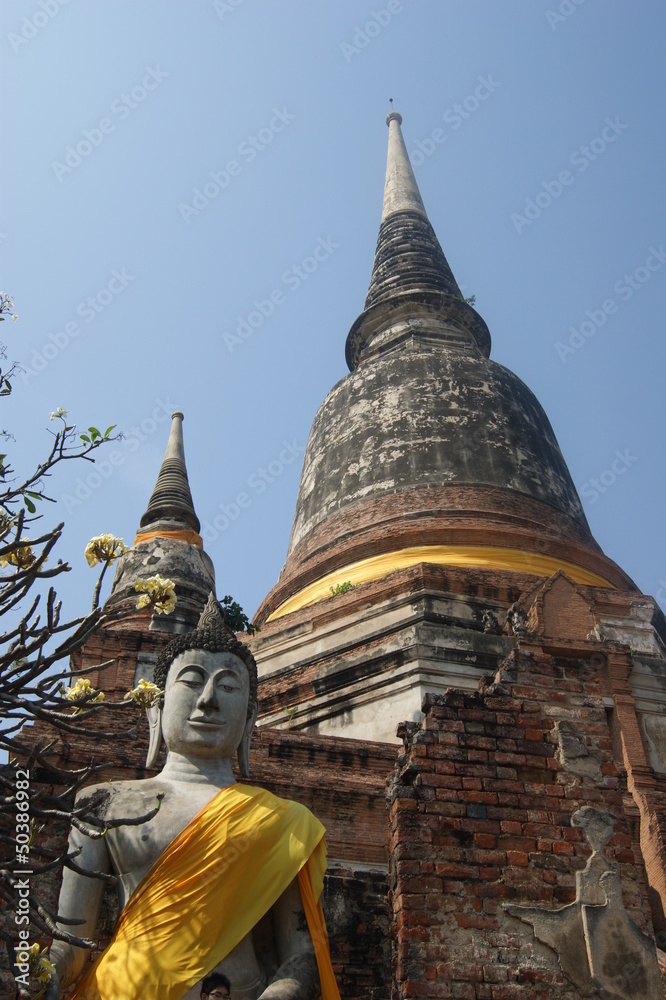 Fototapeta premium boudha