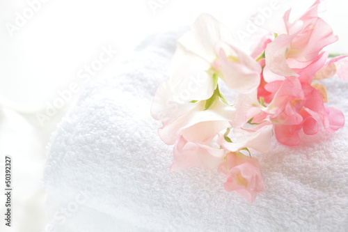 sweet pea on white towel for house keeping image