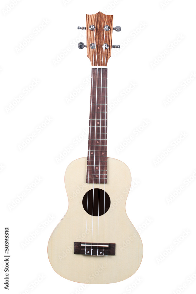 Naklejka premium hawaiian guitar