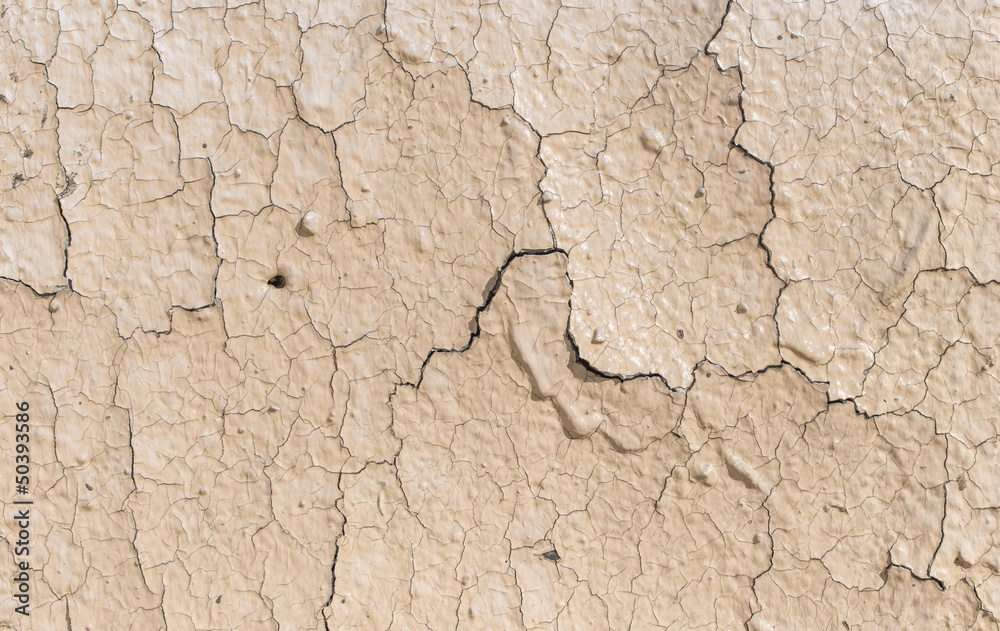 Wet Cracked Textured Wall