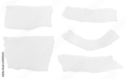 Wallpaper Mural white paper ripped message background Torontodigital.ca