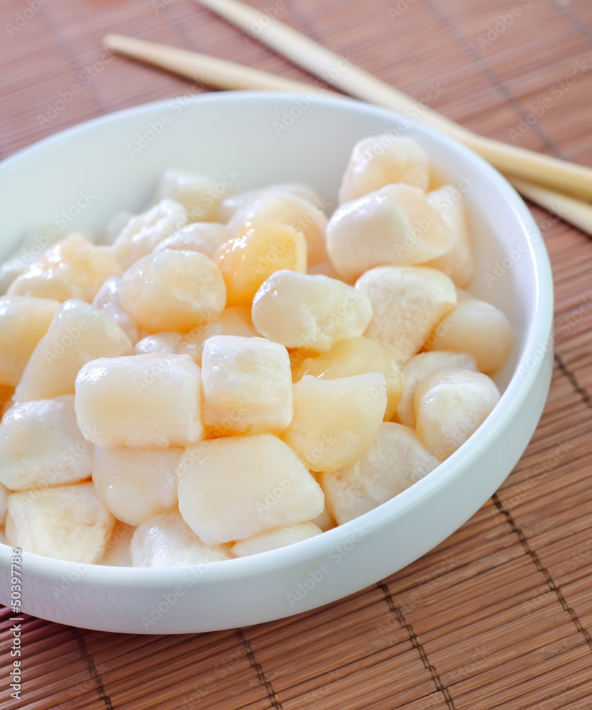 scallop scallop