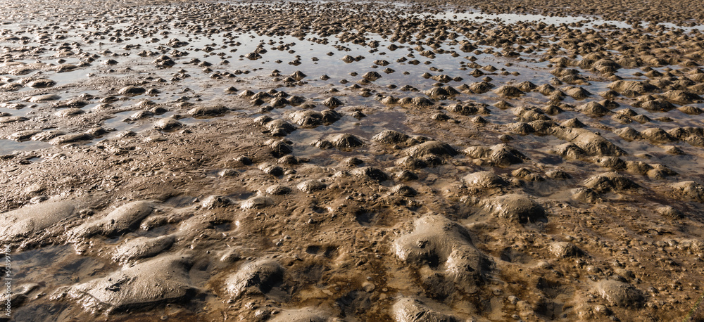 Muddy beach at low tide